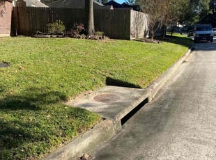 Gary B.'s turf care service result