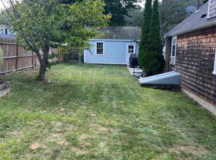 Letchas c.'s turf maintenance service result