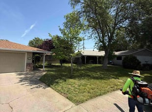 Connie M.'s turf maintenance service result