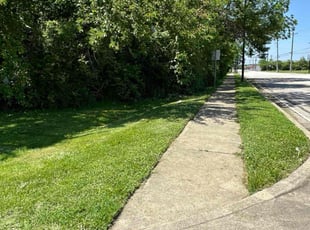 Shelley R.'s Long Grass Cleanup service result