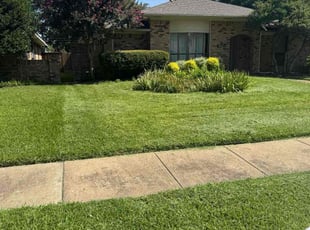 Tony L.'s lawn service service result