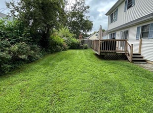 Judith N.'s grass maintenance service result