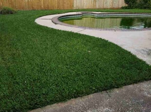 Dreampreneurs L.'s grass cutting service result