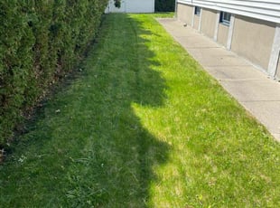 Ronald W.'s grass maintenance service result