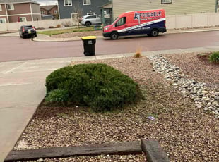 Nancy K.'s Bush Trimming service result