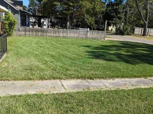 Aundra L.'s lawn care service result