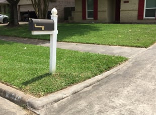 Joyce R.'s Bush Trimming service result