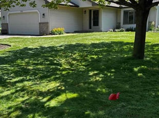 Charlot F.'s lawn care services service result