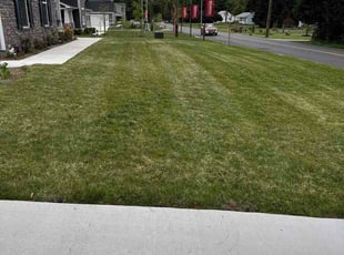Lindsay F.'s turf maintenance service result