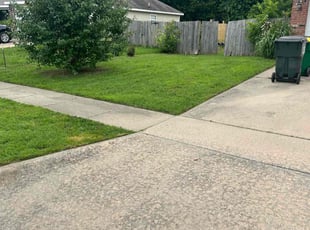 Desiree H.'s turf maintenance service result