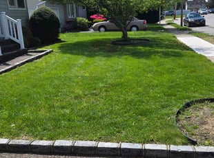 Brad I.'s lawn maintenance service result