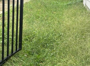 Brinda H.'s lawn care services service result