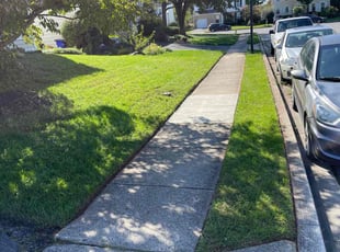 Sharon P.'s lawn maintenance service result