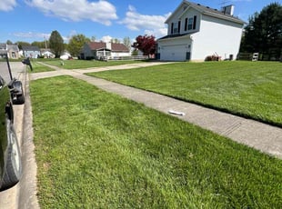 Donna W.'s grass maintenance service result