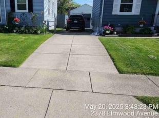 Brooke F.'s turf care service result