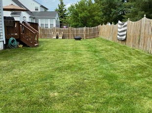 Michael M.'s lawn care service result