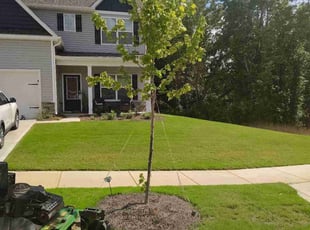 Nik M.'s lawn maintenance service result