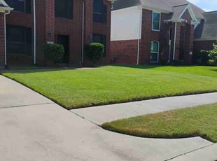 Malcom T.'s lawn maintenance service result