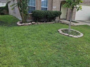 Taylor S.'s Bush Trimming service result