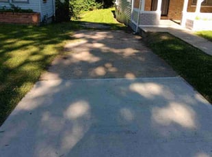 Tarik S.'s lawn maintenance service result