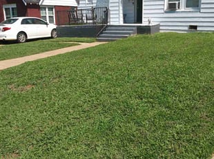 Abdul B.'s turf care service result