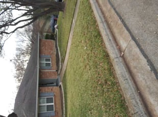 Nicole B.'s Leaf Removal service result