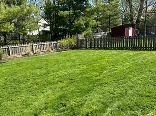 Regina M.'s lawn care services service result