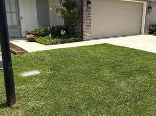 Dijanna B.'s lawn service service result