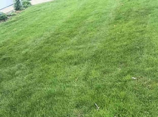Larry E.'s lawn care services service result