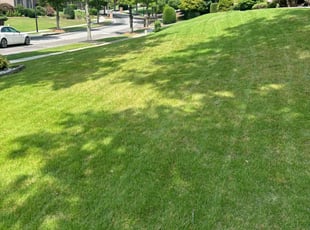 William D.'s lawn care services service result