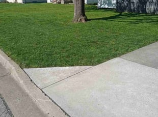 Michael F.'s turf care service result