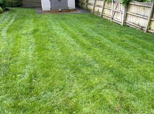 Christopher C.'s lawn care service result