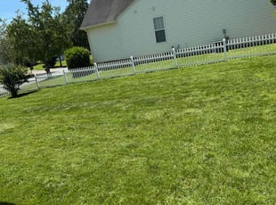 Traci B.'s lawn care service result