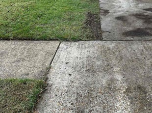 Larry B.'s Leaf Removal service result