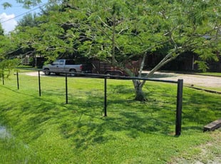 Michelle M.'s lawn care service result