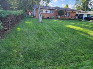 Andrea R.'s lawn service service result