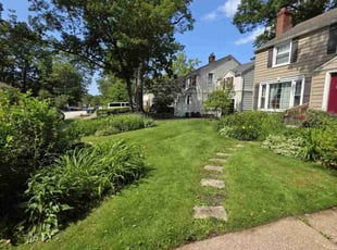 Mary A.'s lawn care service result