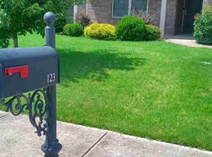 Stefanie H.'s lawn maintenance service result