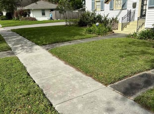 Will M.'s grass cutting service result