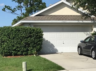 Susan P.'s Bush Trimming service result