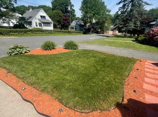 Jean R.'s turf care service result