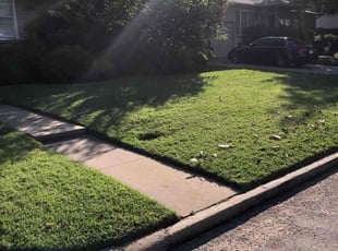 Haze W.'s grass maintenance service result