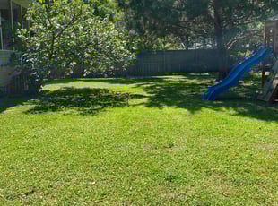 Kristen J.'s grass cutting service result