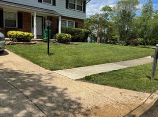 Tamarlin B.'s grass cutting service result