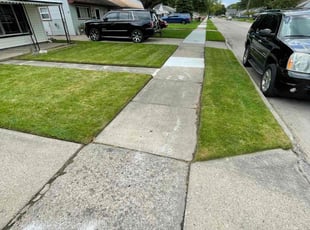 Dan D.'s grass cutting service result