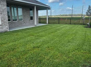 Rachael H.'s turf maintenance service result