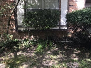 Brea S.'s Bush Trimming service result