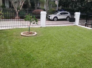 Shirley L.'s lawn service service result