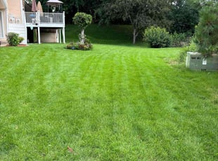 David R.'s lawn care service result