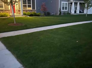Keanu M.'s grass maintenance service result